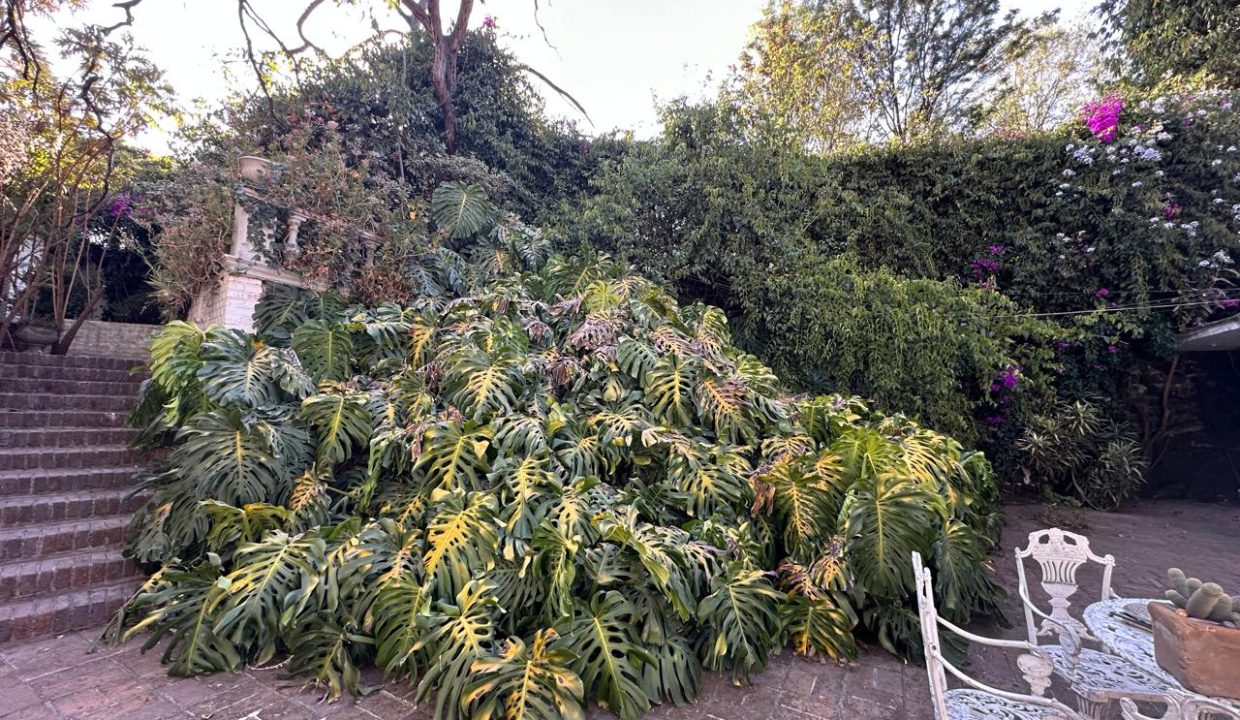 IMG-20250730-WA0163