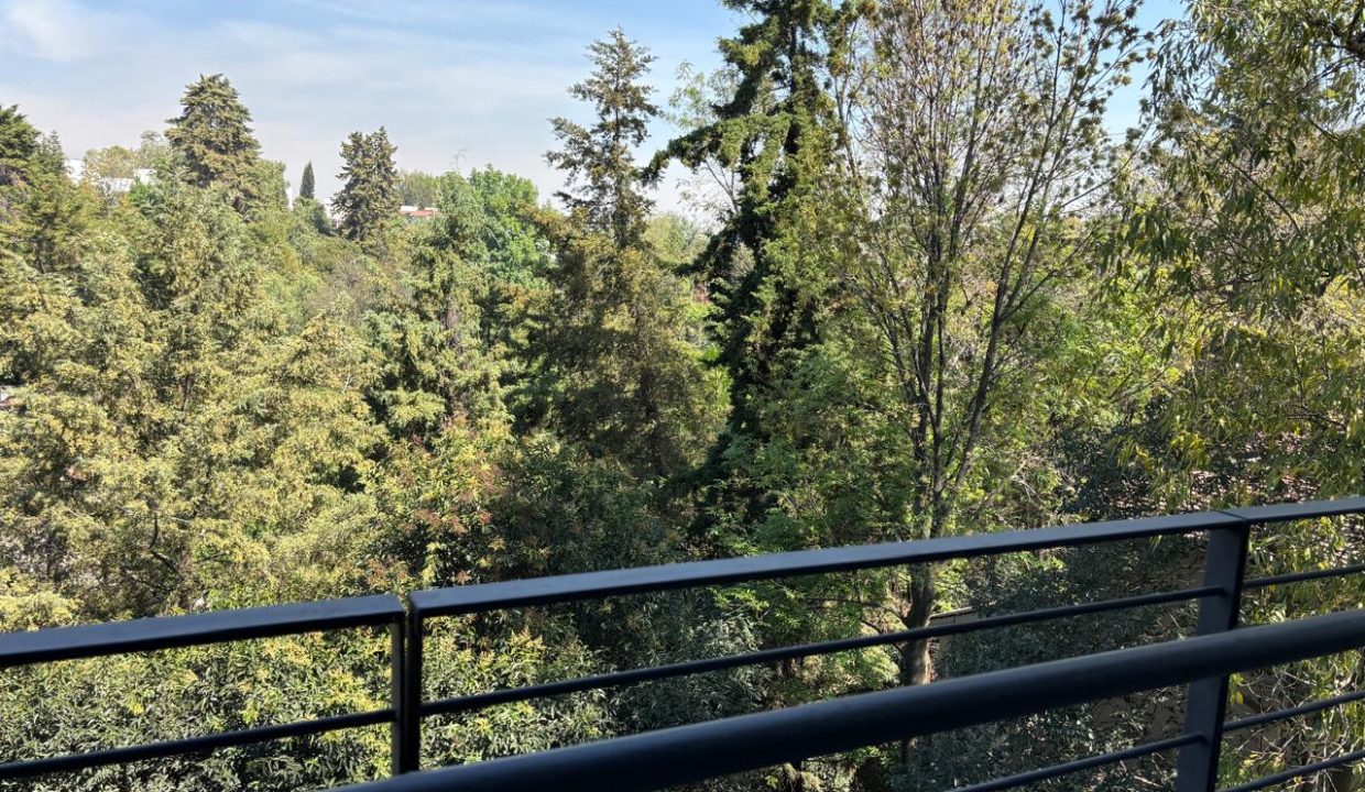 WhatsApp Image 2026-01-30 at 2.17.22 PM (6)