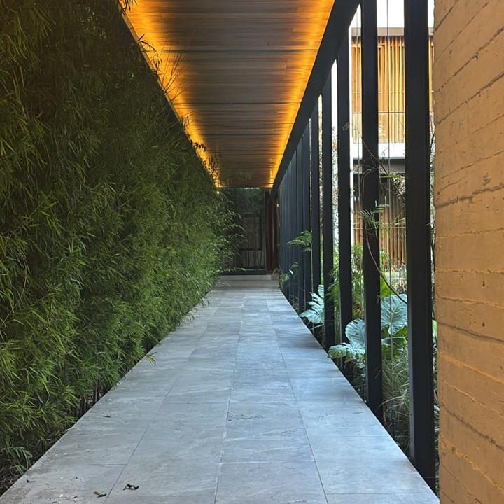 WhatsApp Image 2026-02-11 at 3.56.29 PM