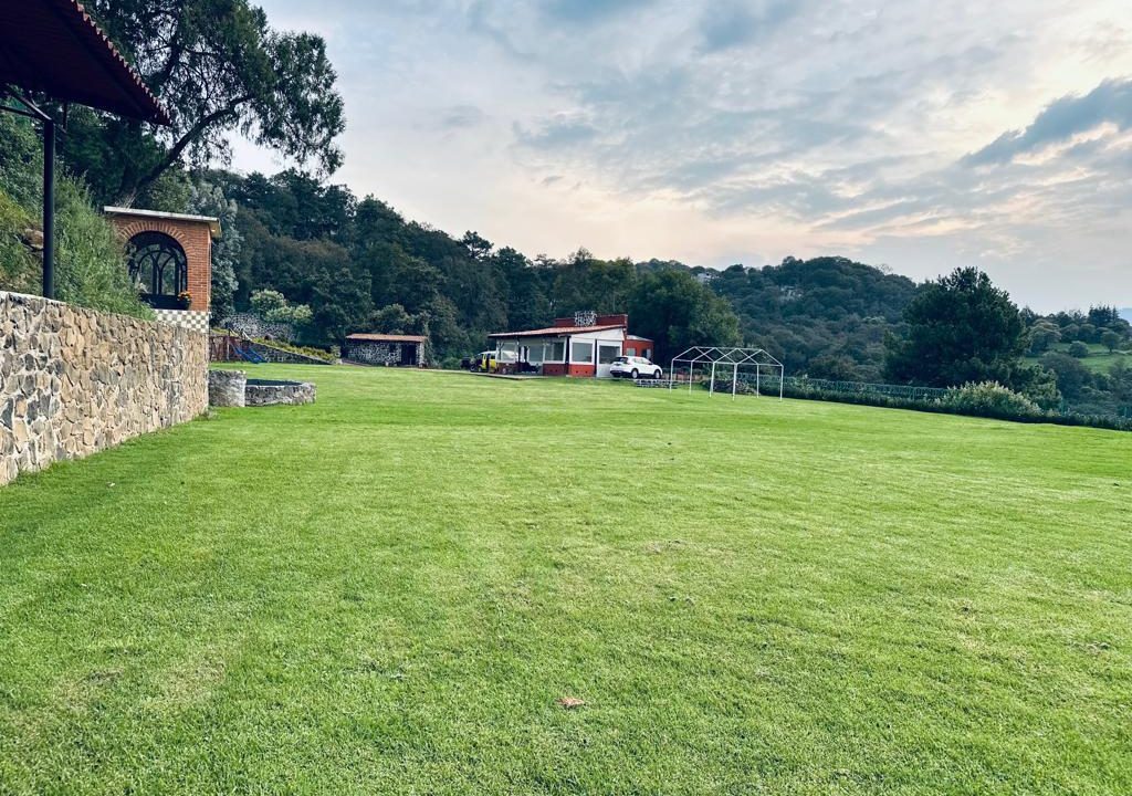 WhatsApp Image 2026-02-19 at 2.28.15 PM