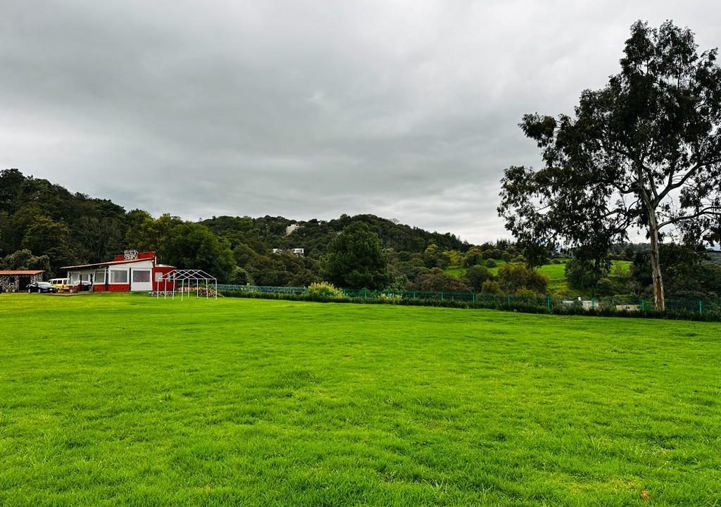 WhatsApp Image 2026-02-19 at 2.28.16 PM (5)