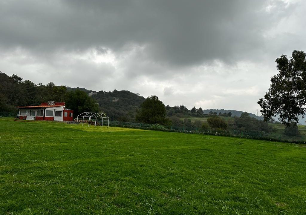 WhatsApp Image 2026-02-19 at 2.28.17 PM