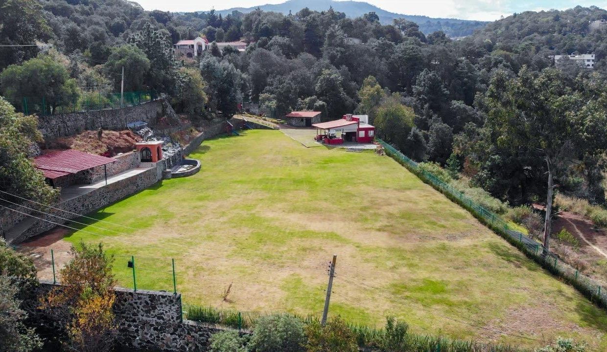 WhatsApp Image 2026-02-19 at 2.28.20 PM (3)